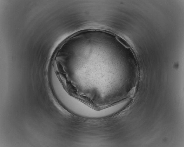 X0000090891128200708241956