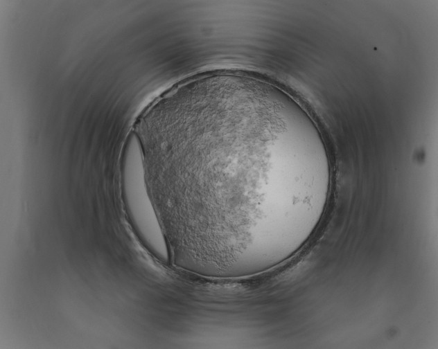 X0000090891129200708241956