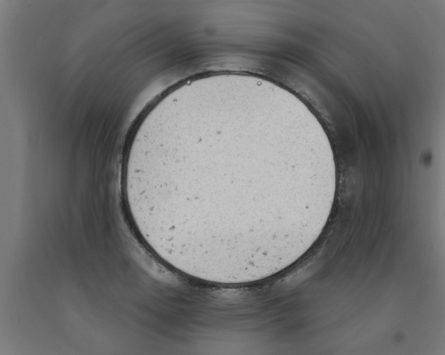 X0000090891130200708241956