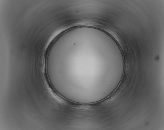 X0000090891131200708241956