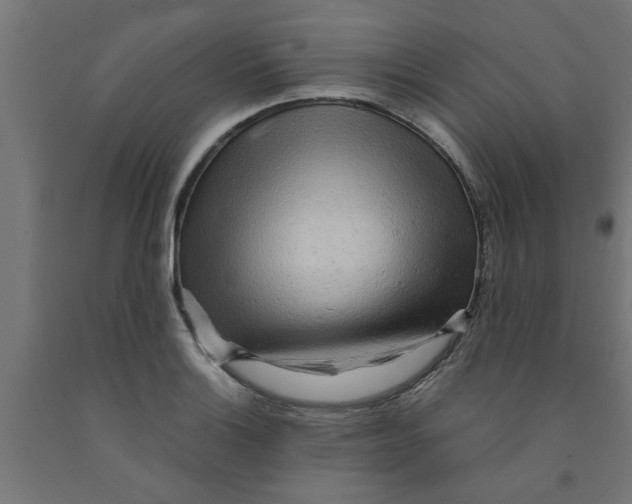 X0000090891132200708241956