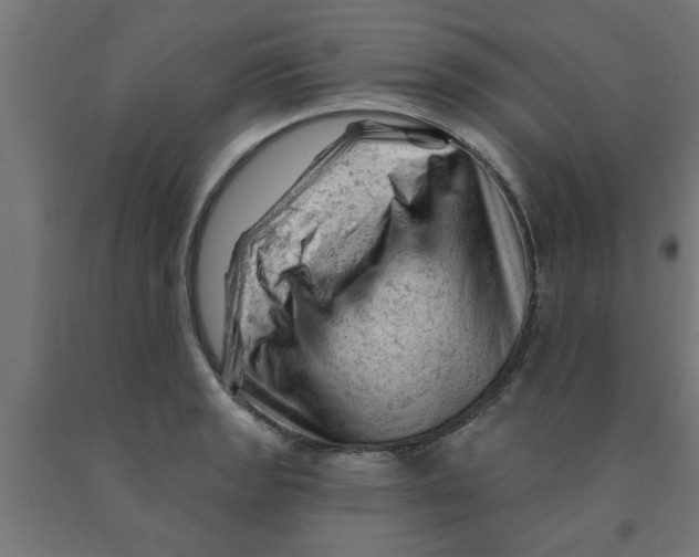 X0000090891133200708241956