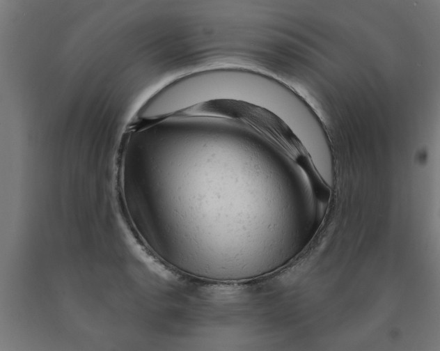 X0000090891134200708241956