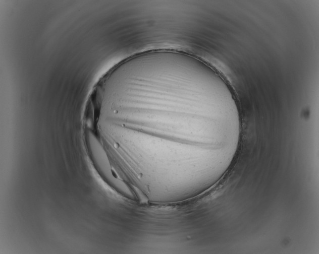 X0000090891135200708241956