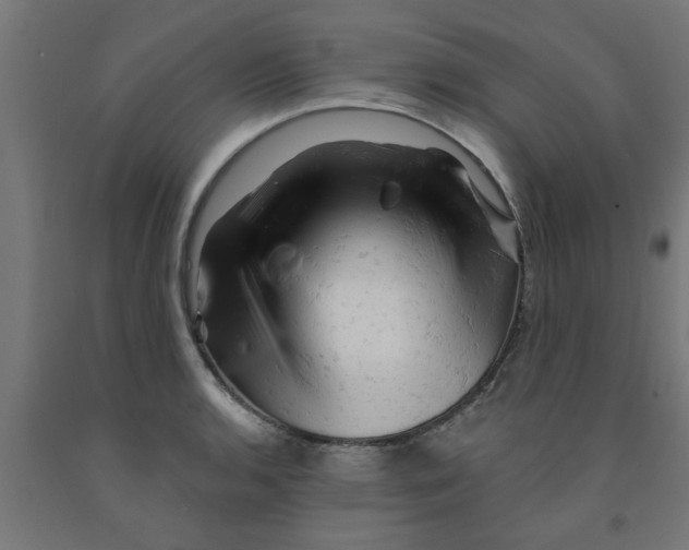 X0000090891136200708241956