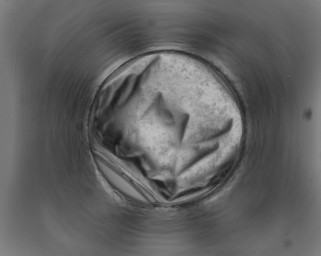 X0000090891137200708241956