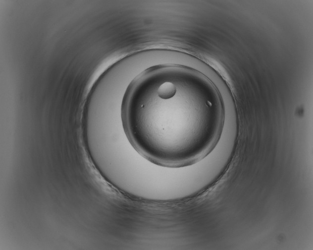 X0000090891138200708241956