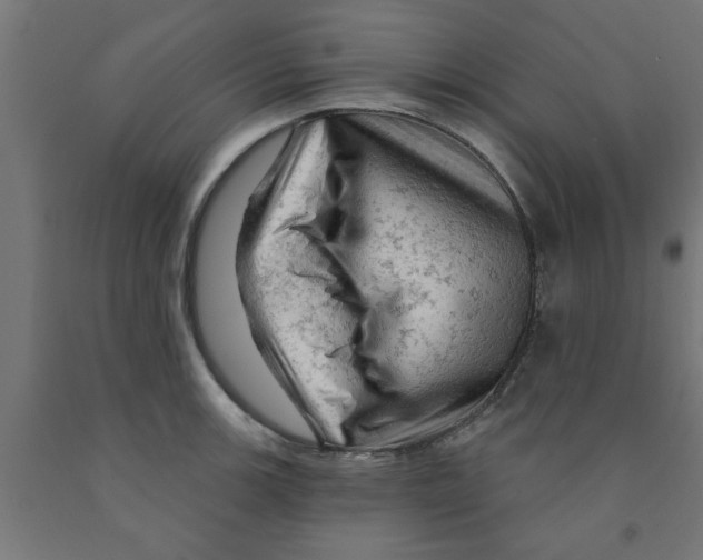 X0000090891139200708241956