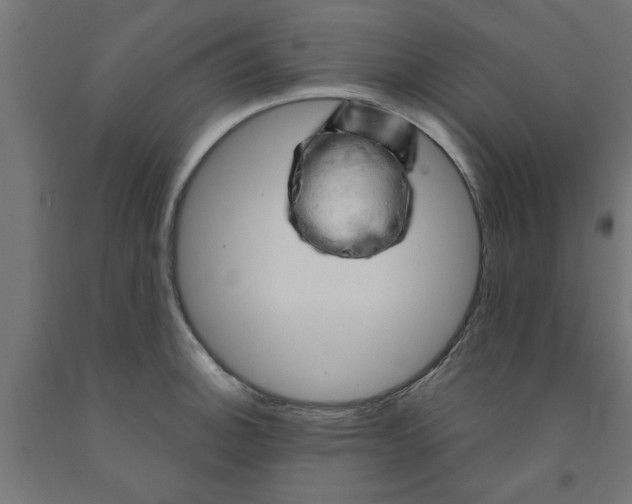 X0000090891140200708241956