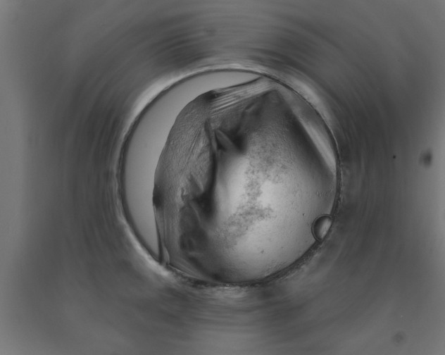 X0000090891141200708241956