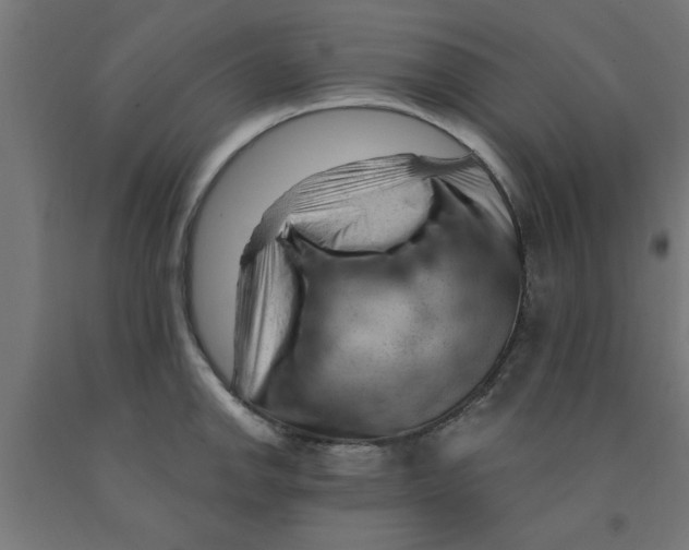 X0000090891142200708241956