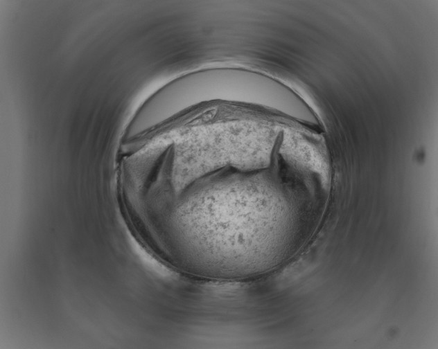 X0000090891143200708241956