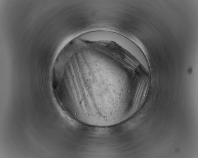 X0000090891144200708241956