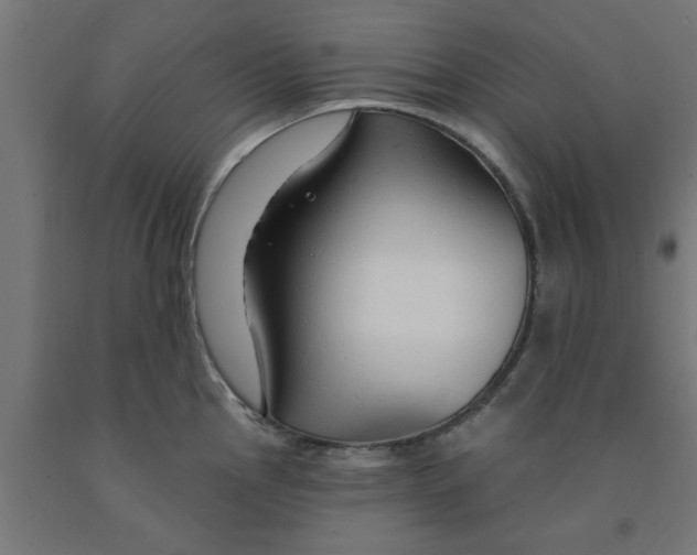 X0000090891145200708241956