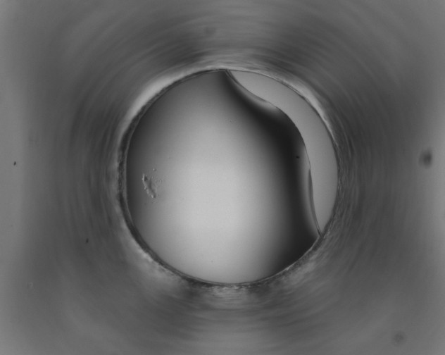 X0000090891147200708241956