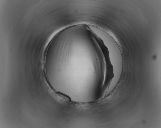 X0000090891148200708241956