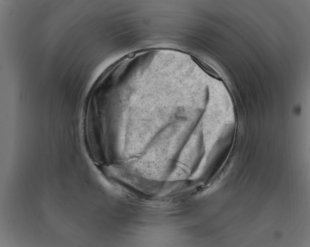 X0000090891149200708241956