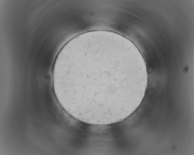 X0000090891150200708241956