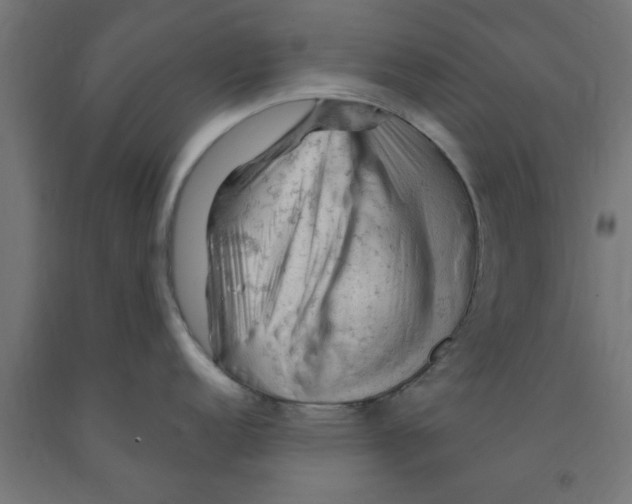 X0000090891152200708241956