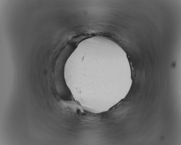 X0000090891153200708241955