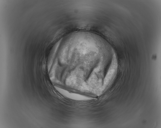 X0000090891154200708241955