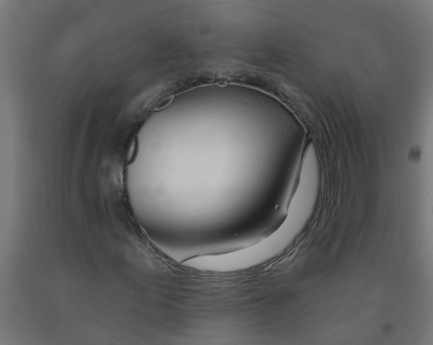 X0000090891155200708241955