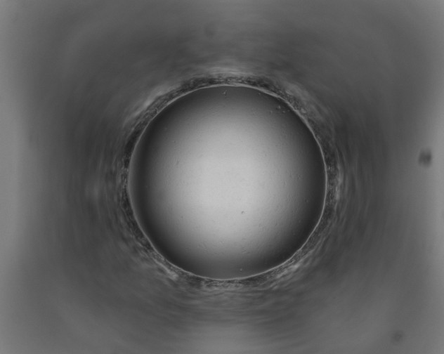 X0000090891157200708241955