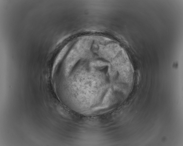 X0000090891158200708241955