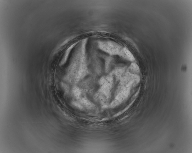 X0000090891159200708241955