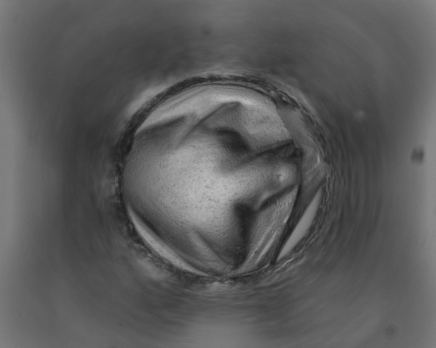 X0000090891160200708241955