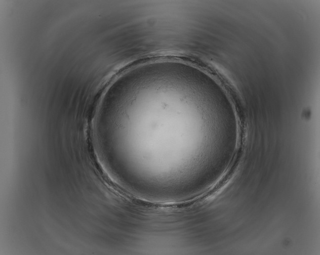 X0000090891161200708241955