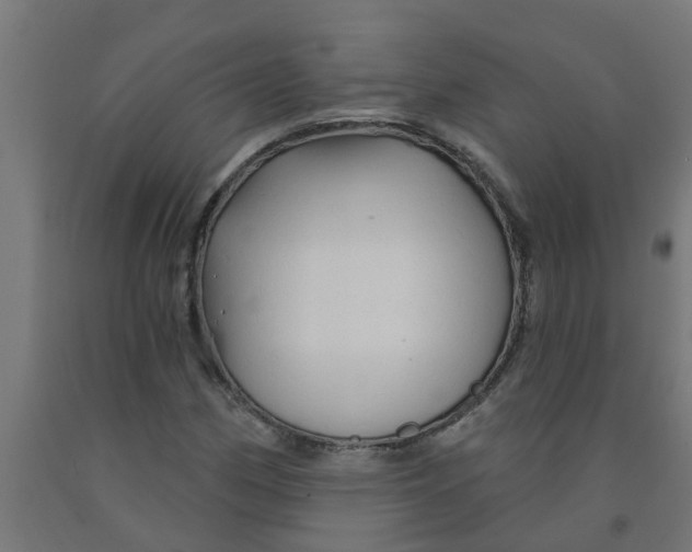 X0000090891162200708241955