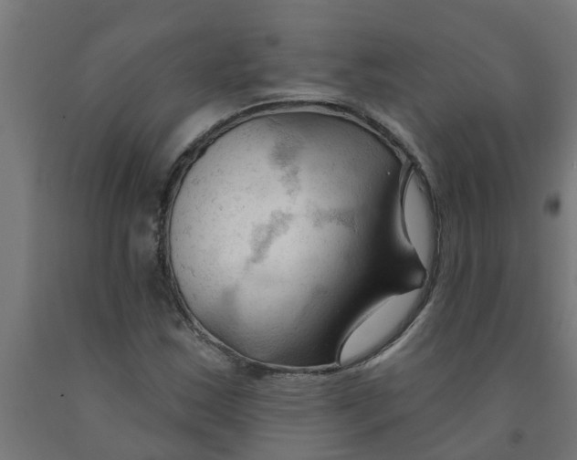 X0000090891163200708241955