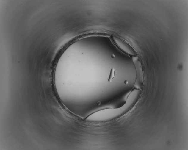 X0000090891164200708241955