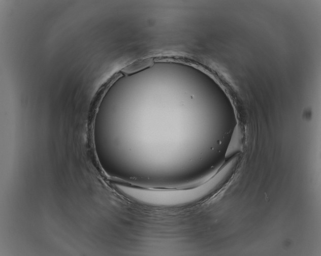 X0000090891165200708241955