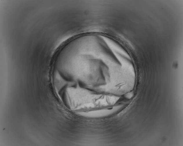 X0000090891166200708241955