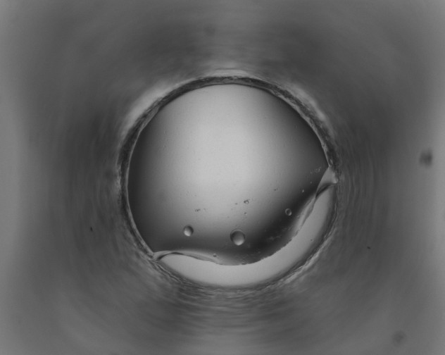 X0000090891167200708241955