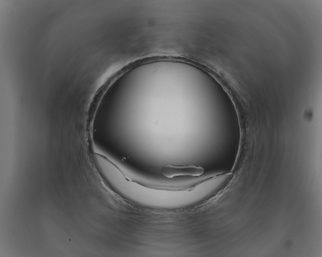 X0000090891168200708241955