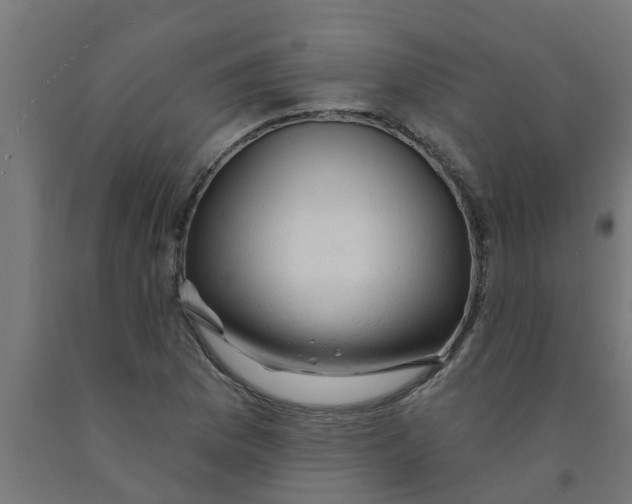 X0000090891169200708241955