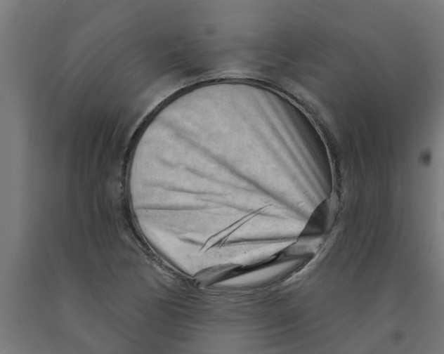 X0000090891170200708241955