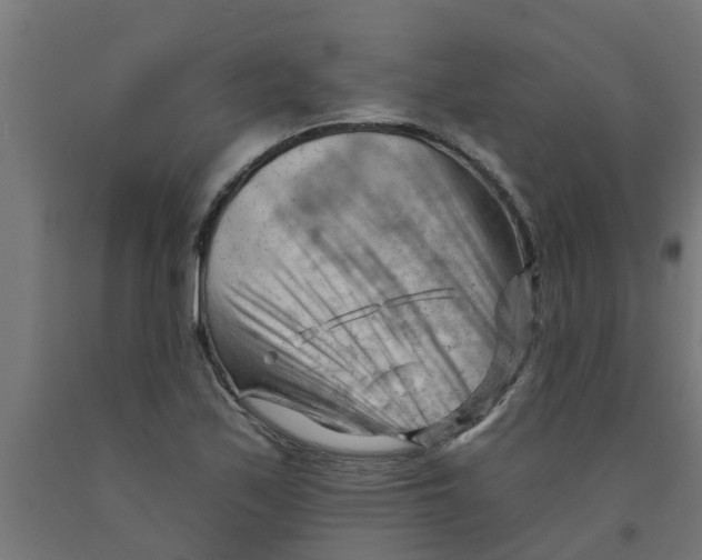 X0000090891171200708241955