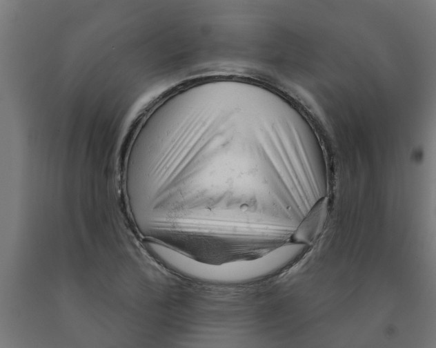 X0000090891172200708241955