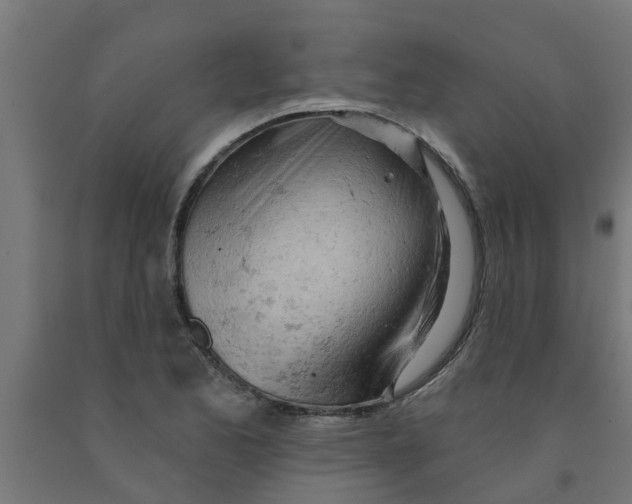 X0000090891173200708241955