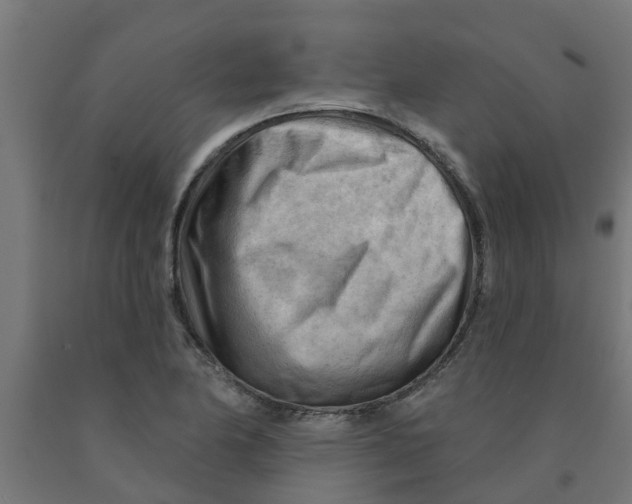 X0000090891174200708241955