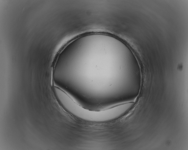 X0000090891175200708241955