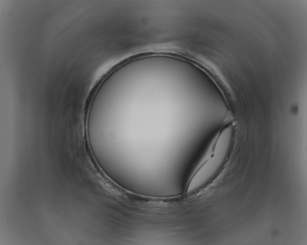 X0000090891176200708241955