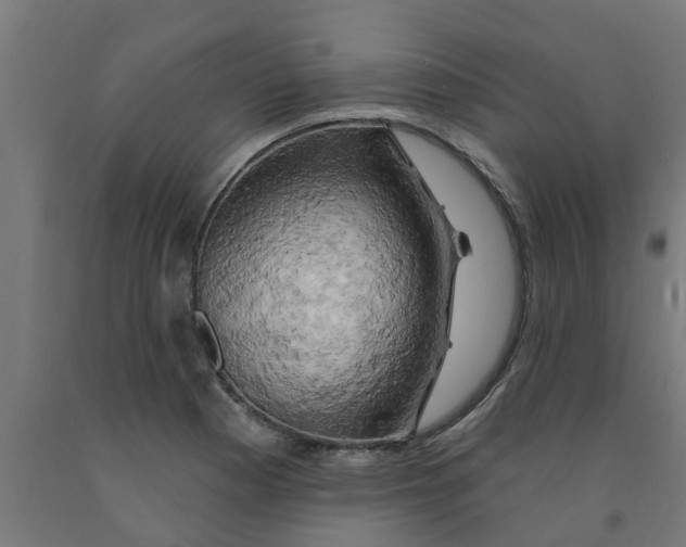 X0000090891177200708241955