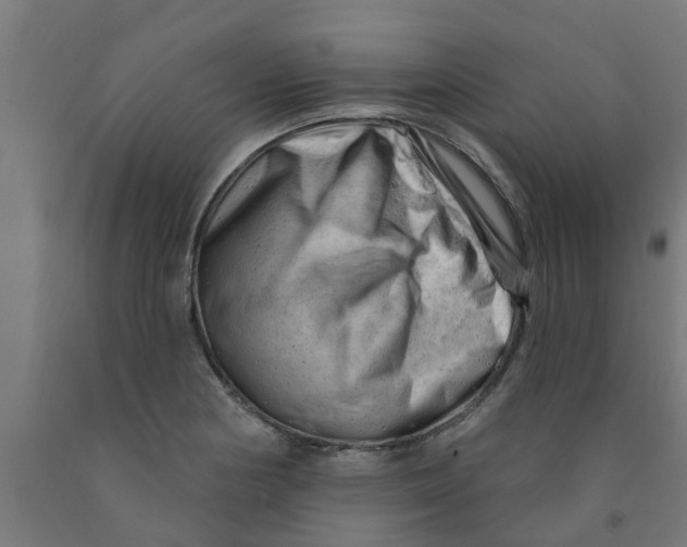 X0000090891178200708241955