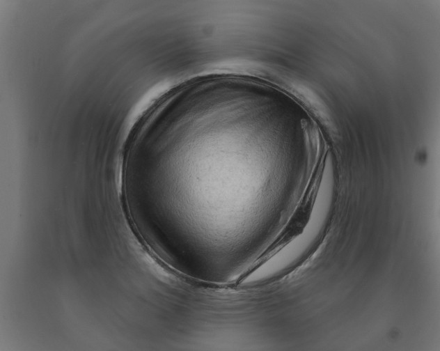 X0000090891180200708241955