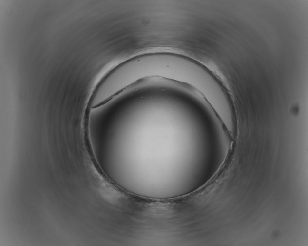 X0000090891181200708241955